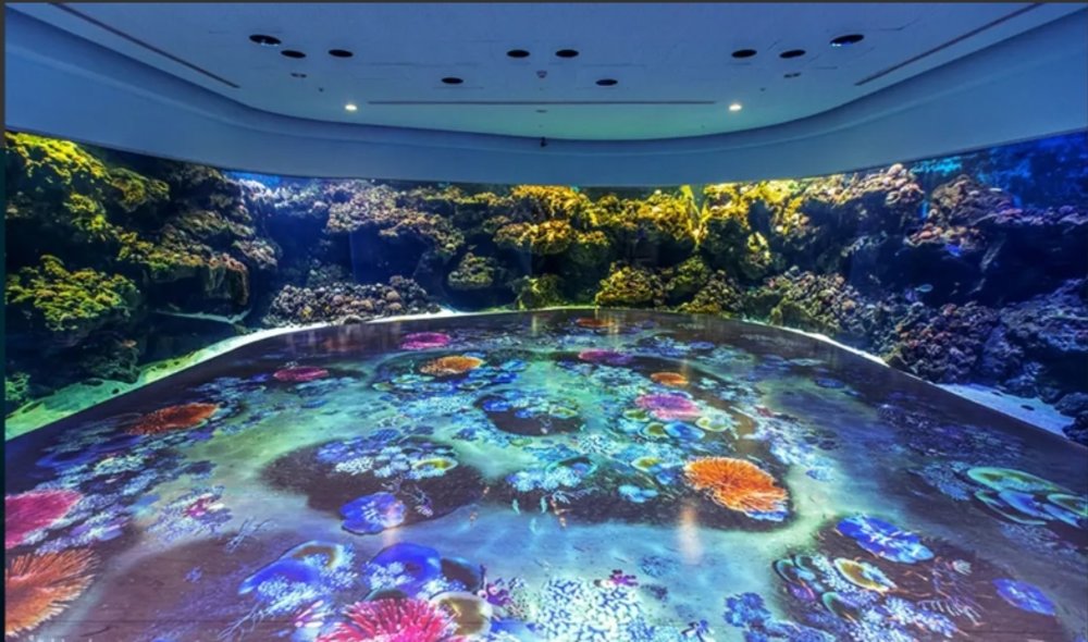 เครดิตภาพ : Klook