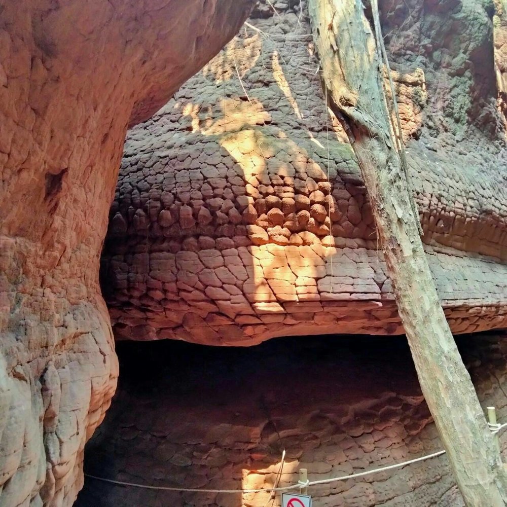 เครดิตภาพ: เว็บไซต์ thailandtourismdirectory.go.th