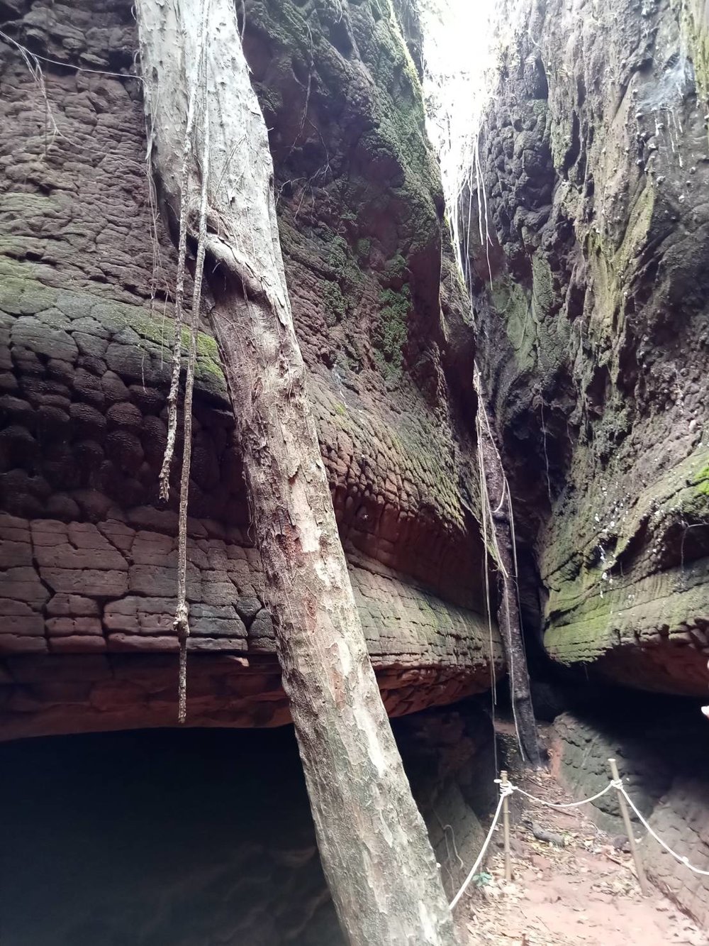 เครดิตภาพ: เว็บไซต์ thailandtourismdirectory.go.th