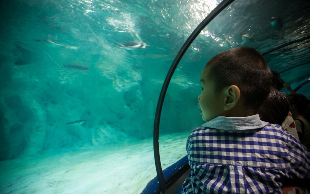 du-lich-thai-lan-mua-he