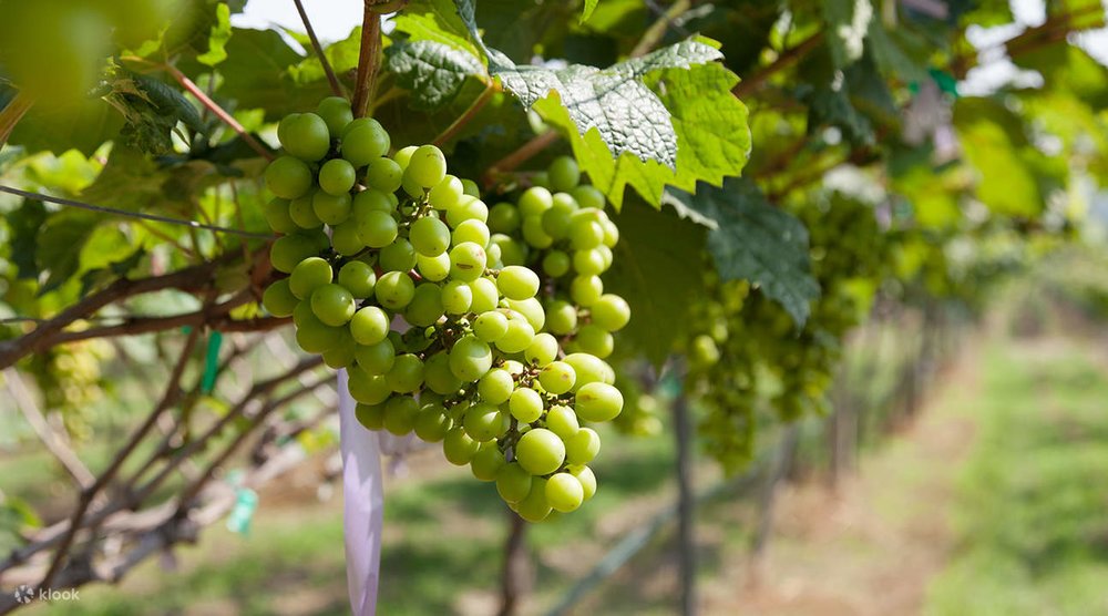 du-lich-thai-lan-mua-he