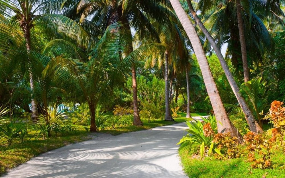 du-lich-maldives-5-ngay-4-dem