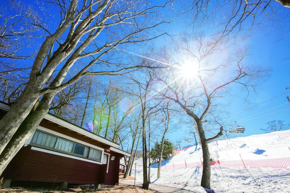 輕井澤王子飯店渡假村｜飯店介紹