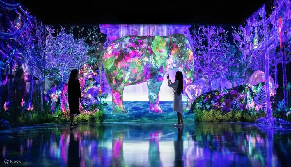 福岡teamLab Forest Fukuoka以森林為主題，十分受旅客歡迎