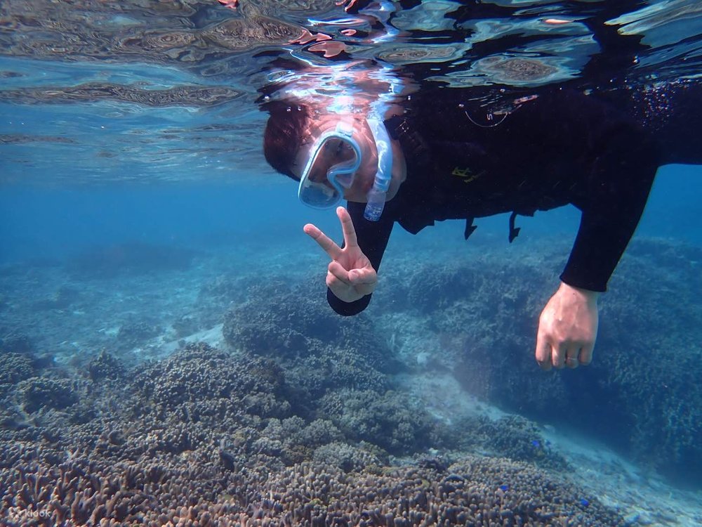 TH 沖繩潛水地點 - 幻影島