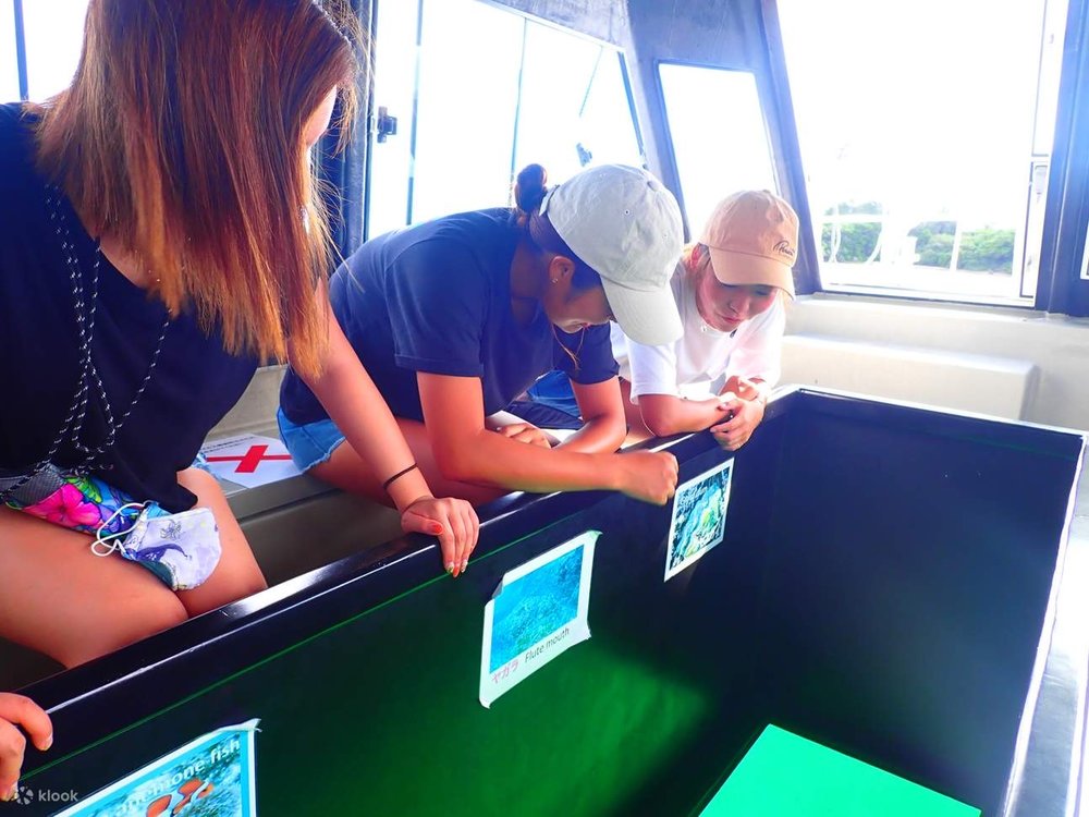 TH 沖繩潛水地點 - 幻影島