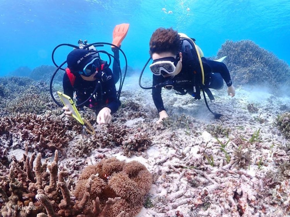 TH 沖繩潛水地點 -宮古島