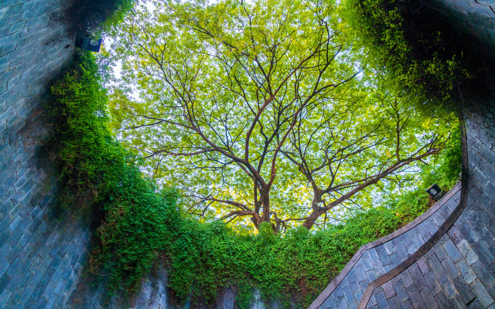 Fort Canning Park Singapore
