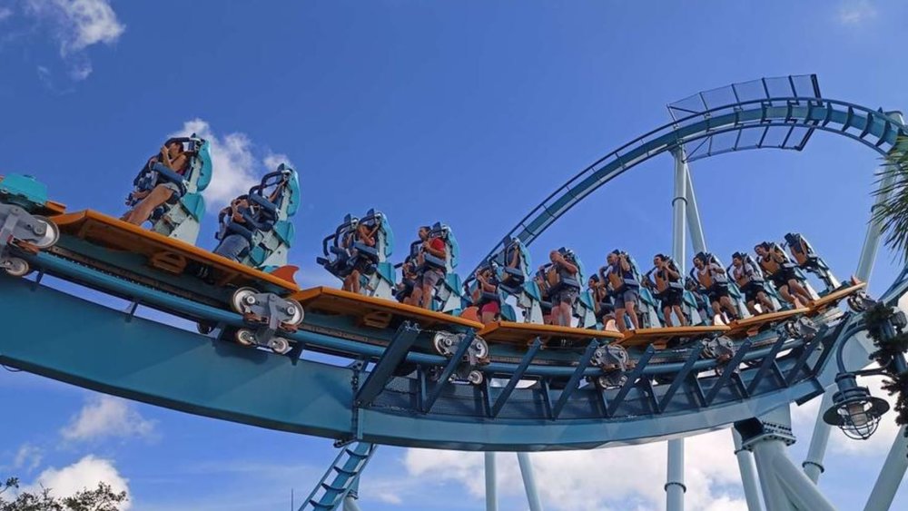 Feel the thrilling rush of adrenaline at the SeaWorld theme park!