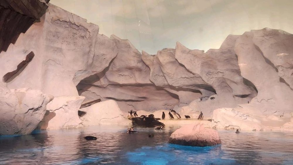 Get to know your favourite sea animals as you step into their world!