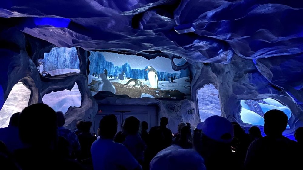 Discover the wonders of marine life at educational shows!