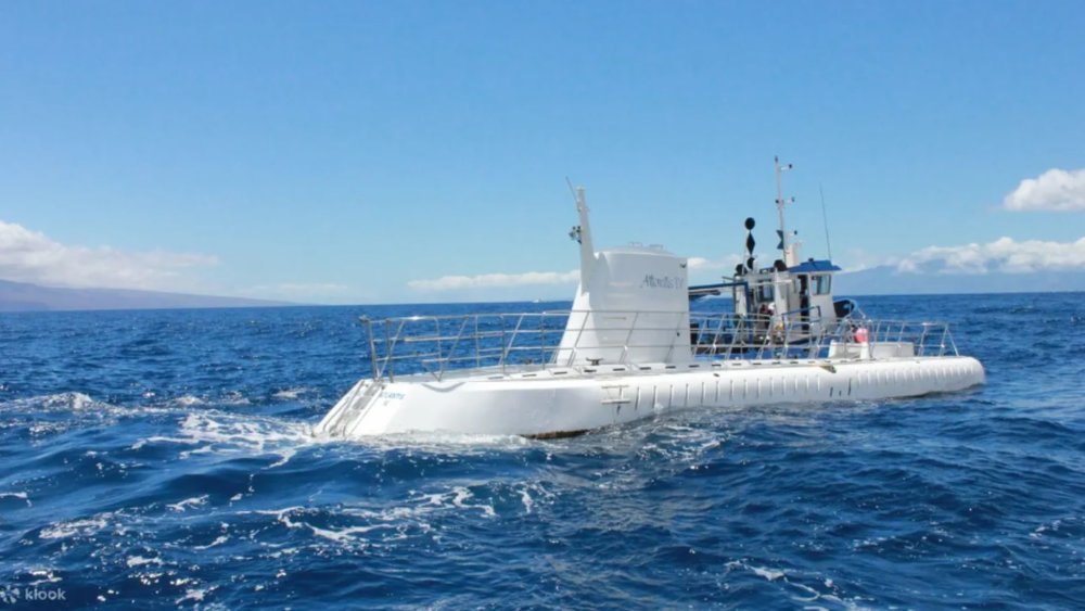 Gaze at all kinds of marine life and plant life from the impressive Atlantis Submarine.