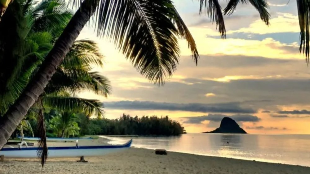 The Secret Island Beach is a pristine sandy beach that'll treat you to some peace and quiet.