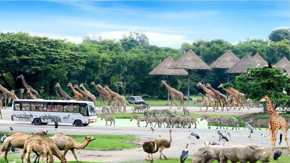 Venture into the animal kingdom at Safari World, Bangkok.  Credits: Klook