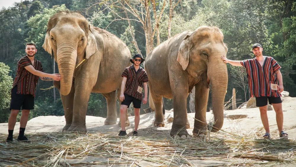 Hang out with elephants at Chiang Mai’s jungle sanctuary