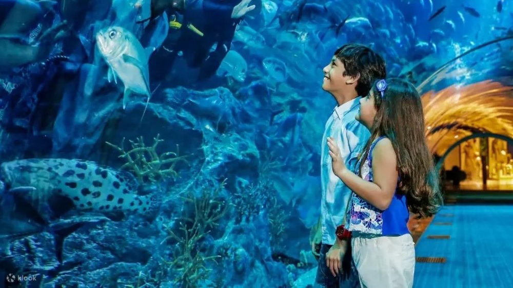 6. Dubai Aquarium and Underwater Zoo