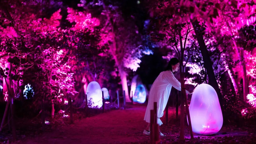 teamLab Botanical Garden Osaka