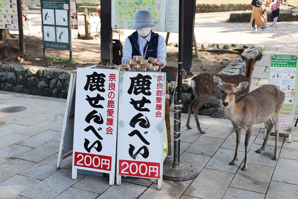 Nara Deer Park Crackers