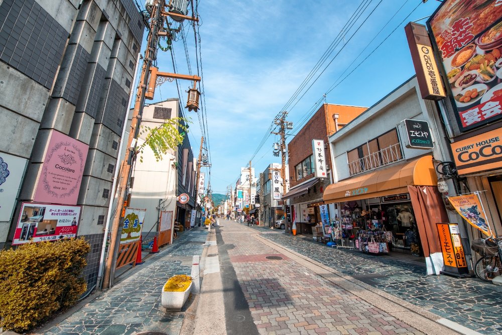 Nara Shopping Street