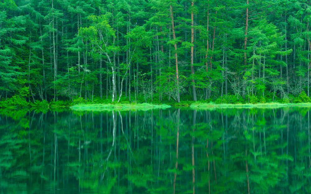 du-lich-nhat-ban-mua-he