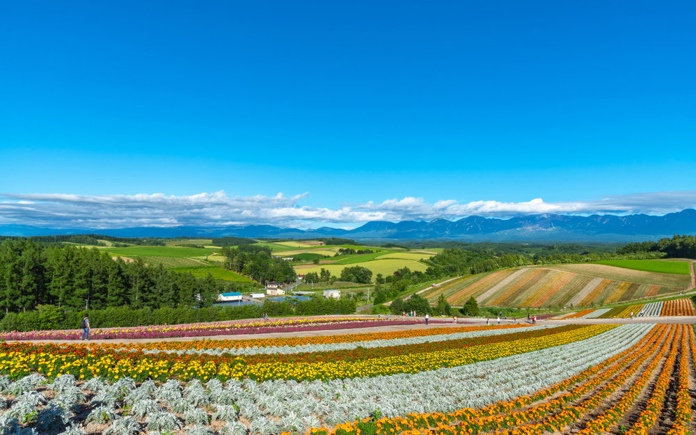 du-lich-nhat-ban-mua-he