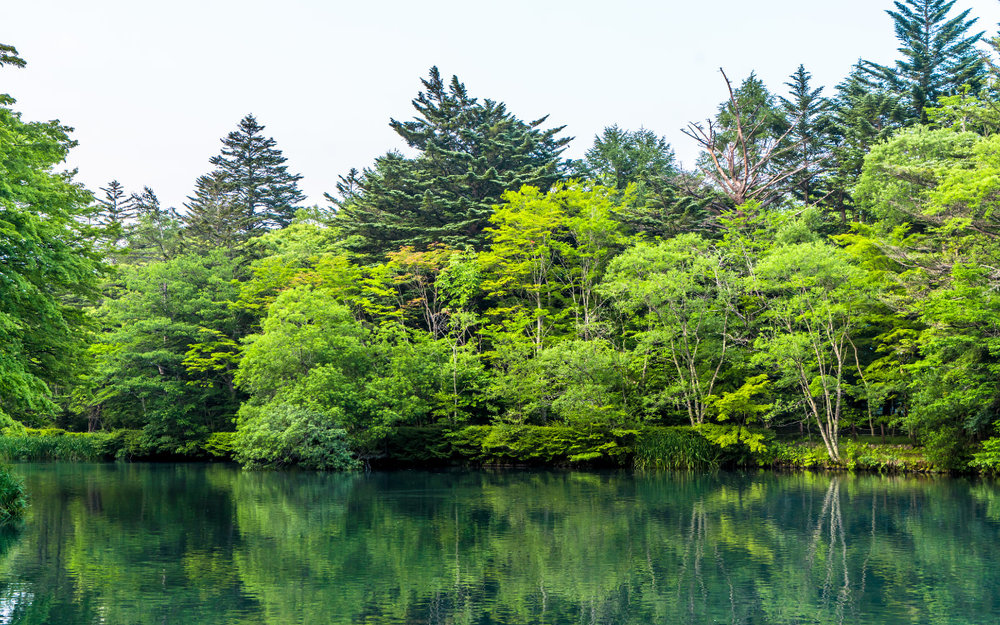 du-lich-nhat-ban-mua-he