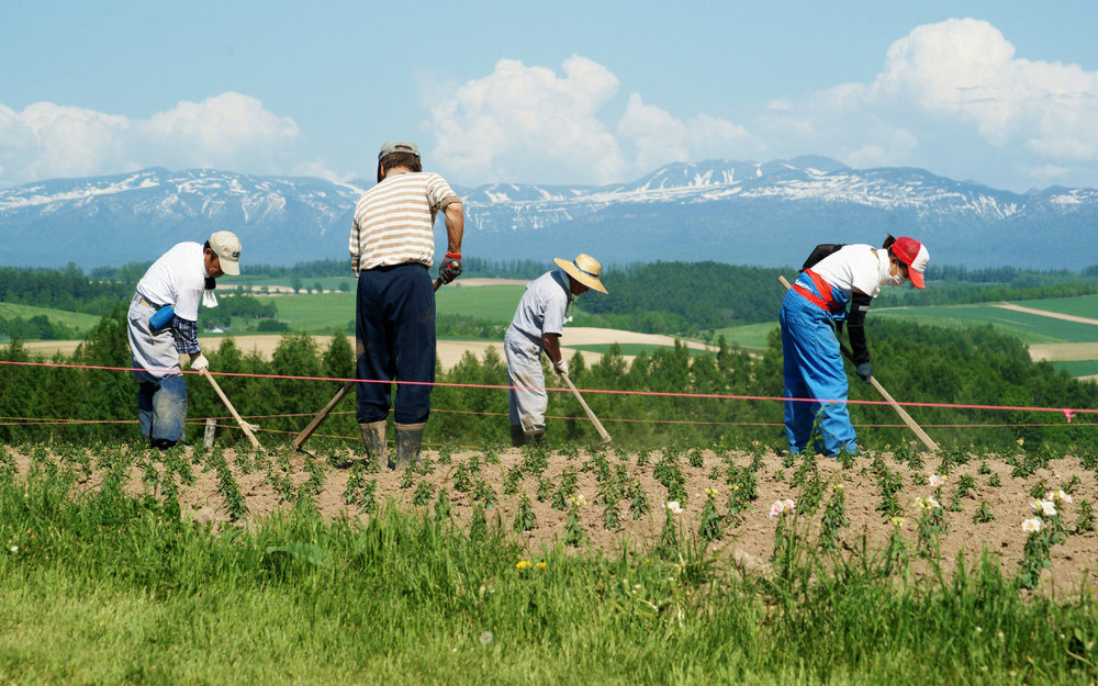 du-lich-nhat-ban-mua-he
