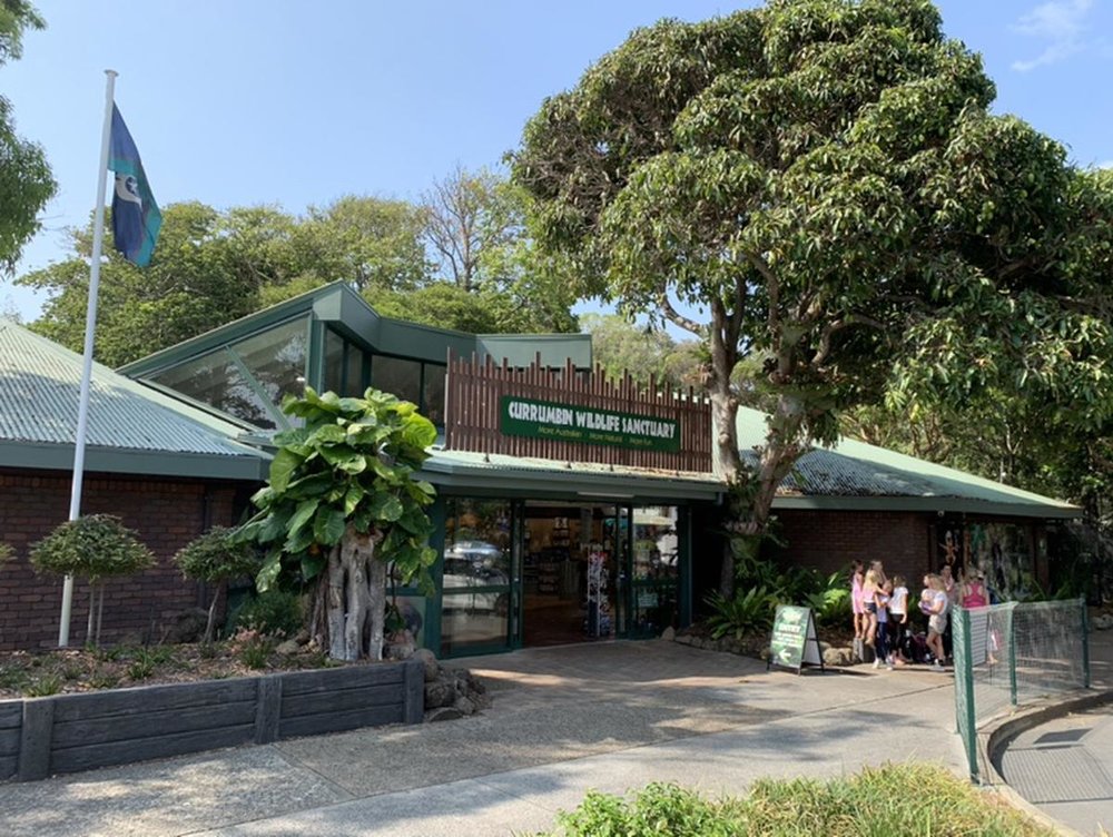ゴールドコースト　カランビン動物園　Nature's Gift Store