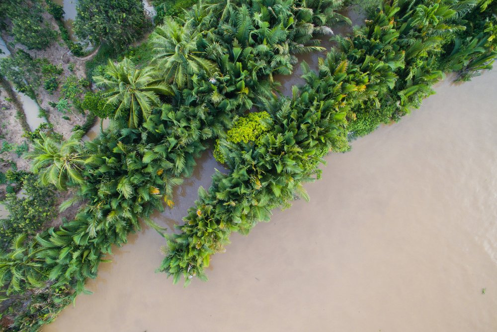 Biển Thạnh Phú - Vẻ Đẹp Hoang Sơ Giữa Miền Tây Xứ Dừa