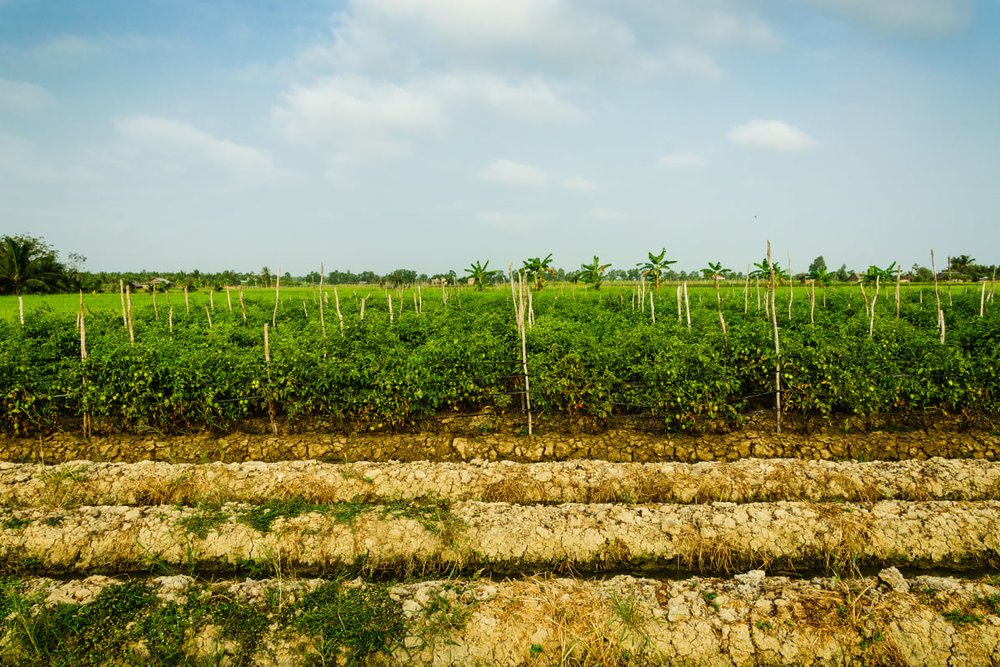 Các Địa Điểm Lưu Trú Khi Đi Du Lịch Bến Tre