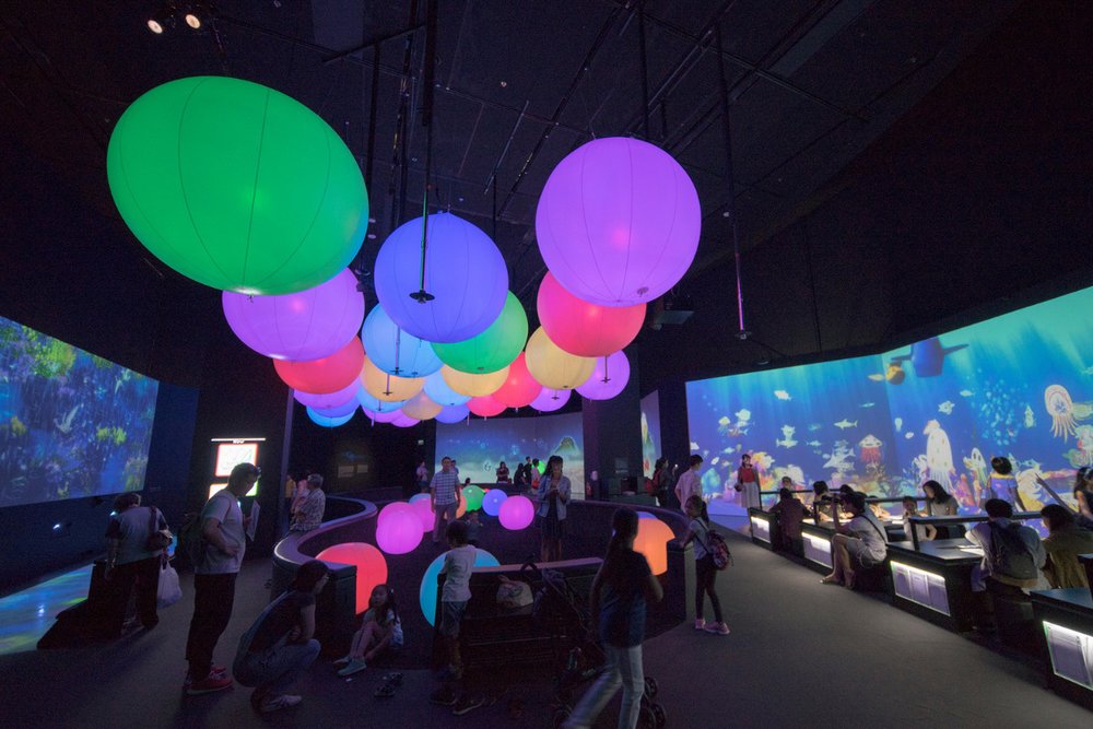 cach-di-bao-tang-artscience-singapore-tu-tuc