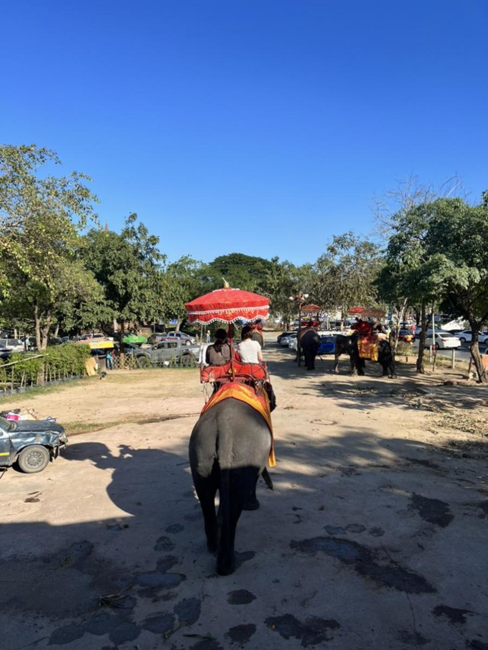 アユタヤ 象乗り体験