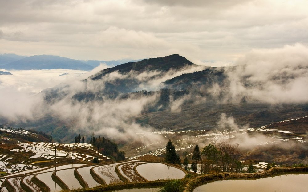 Choáng Ngợp Trước Bức Tranh Ruộng Bậc Thang Nguyên Dương