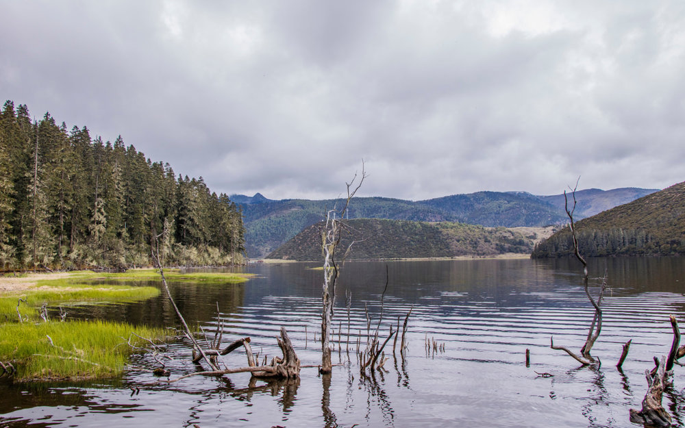 kinh-nghiem-du-lich-shangri-la