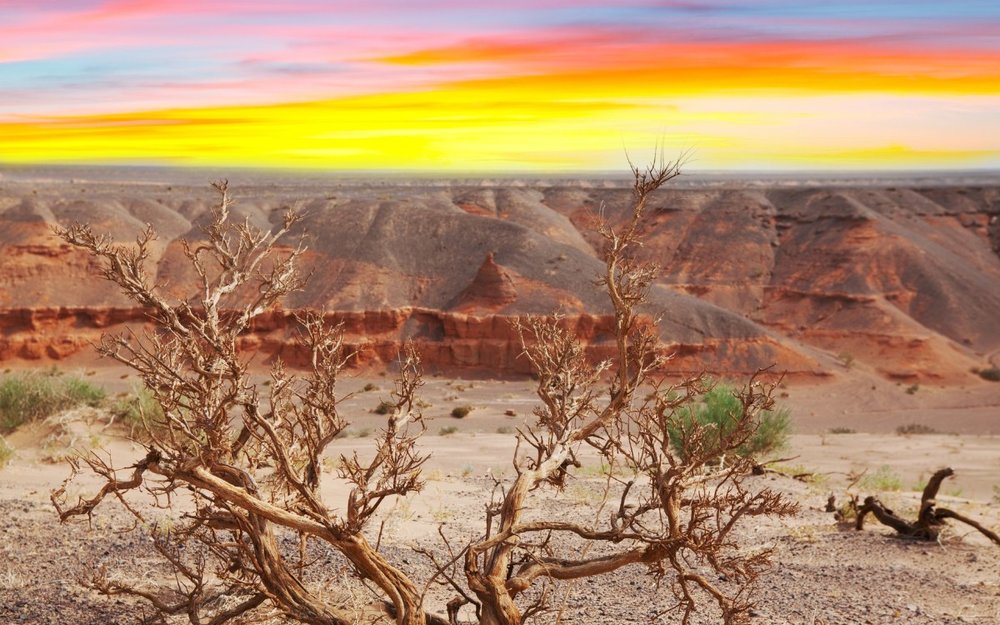 Khám Phá Sa Mạc Ở Mông Cổ