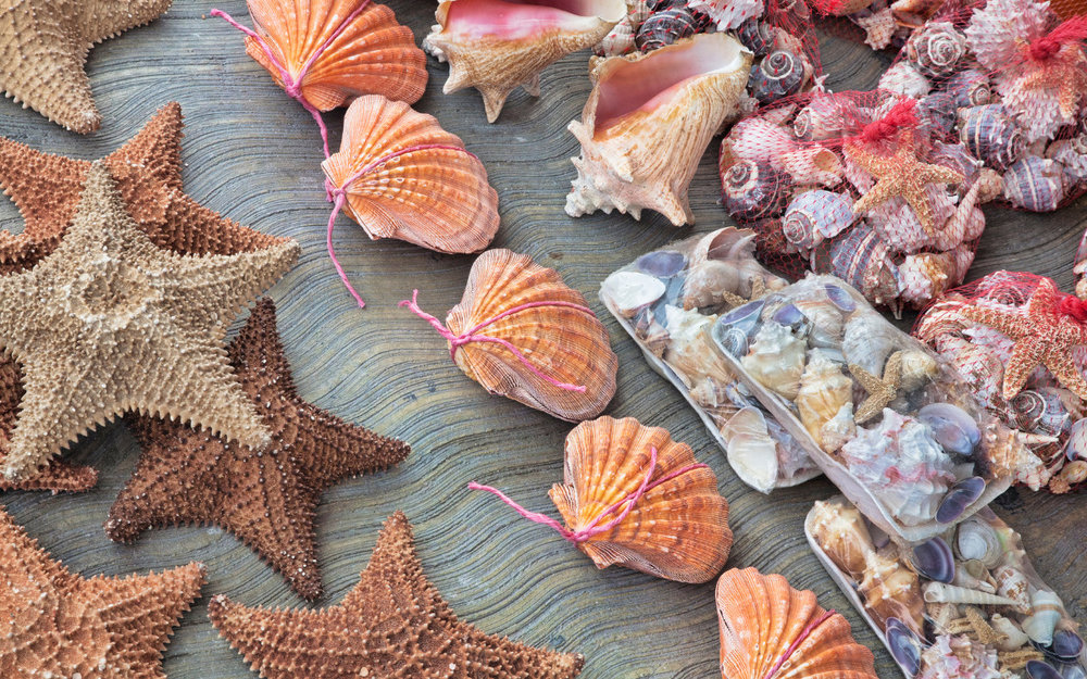 kinh-nghiem-du-lich-koh-samui