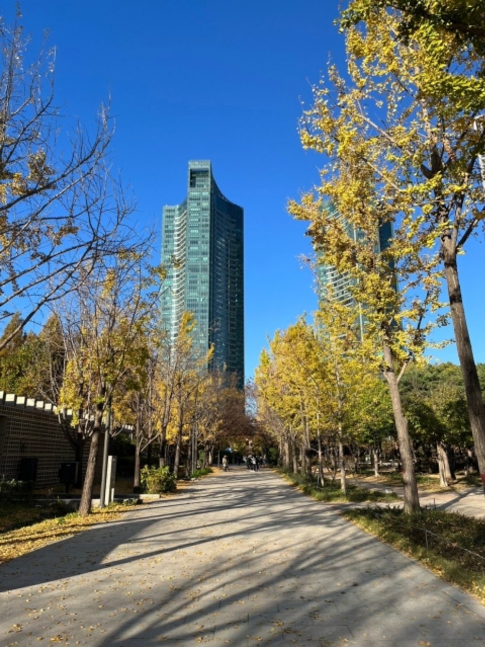 韓国　ソンス （聖水）　ソウルの森