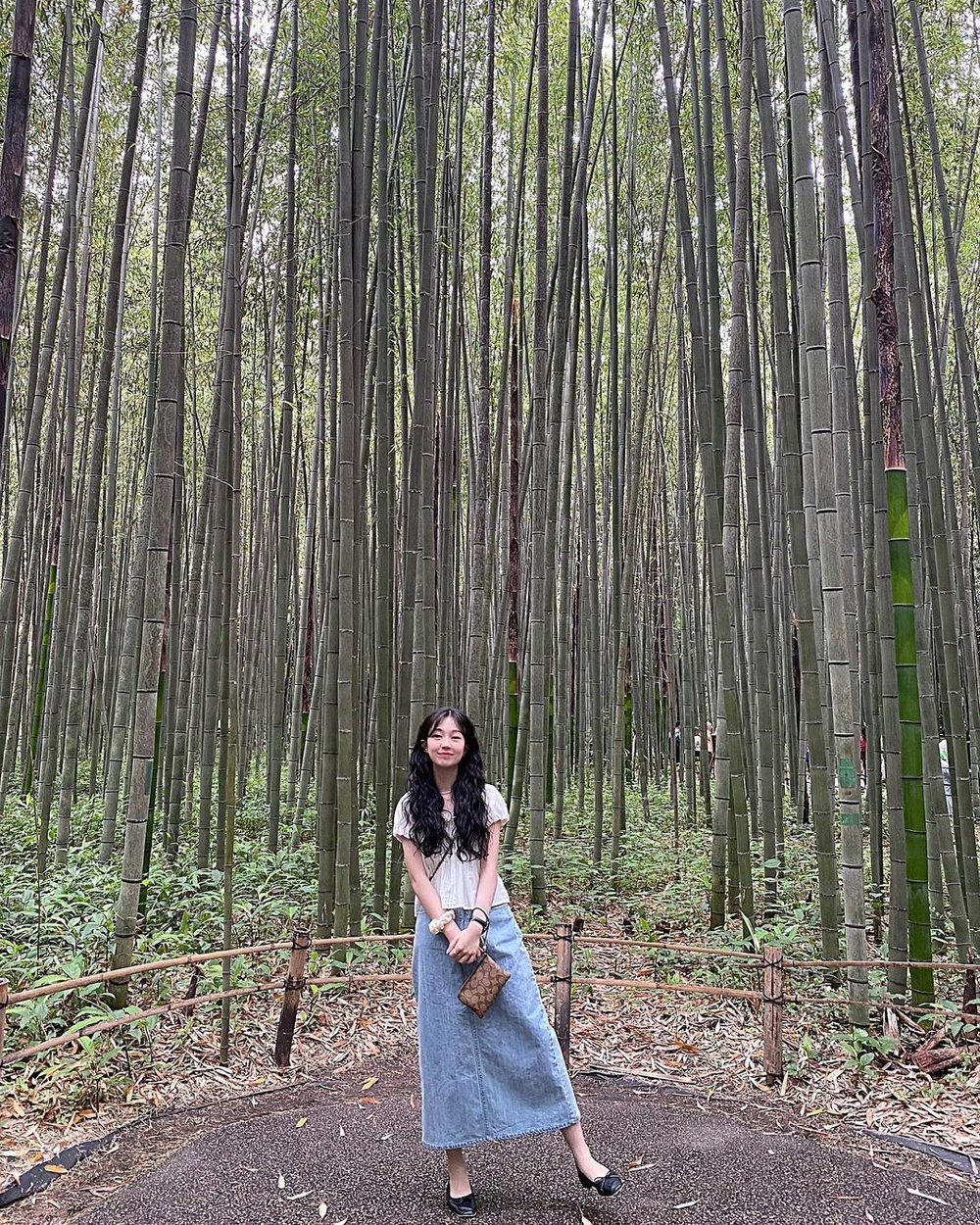 kyoto-bus-tour-2024-apr-83627