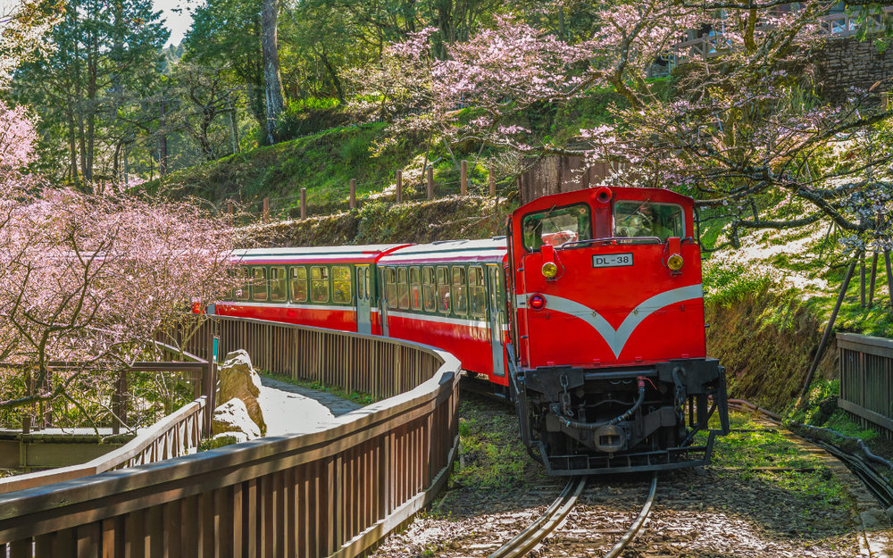 Hướng Dẫn Cách Điền Tờ Khai Nhập Cảnh Đài Loan - Chia Sẻ Kinh Nghiệm Thực Tế