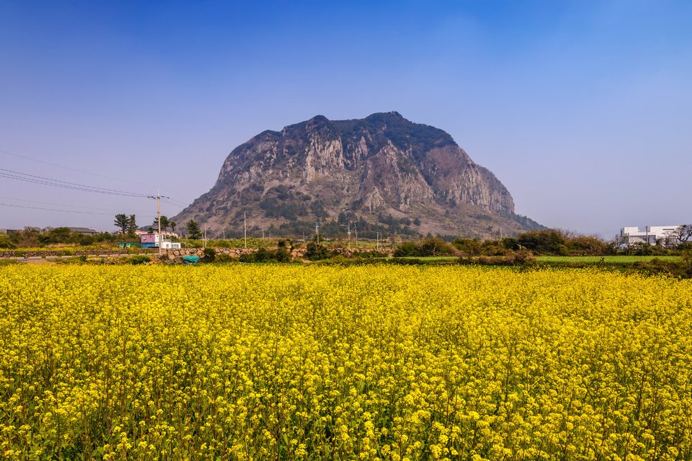 chi-phi-du-lich-han-quoc-10-ngay