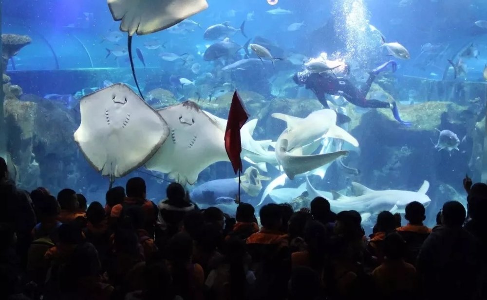 長沙景點, 長沙旅遊, 香港去長沙, 長沙自由行, 長沙海底世界官網