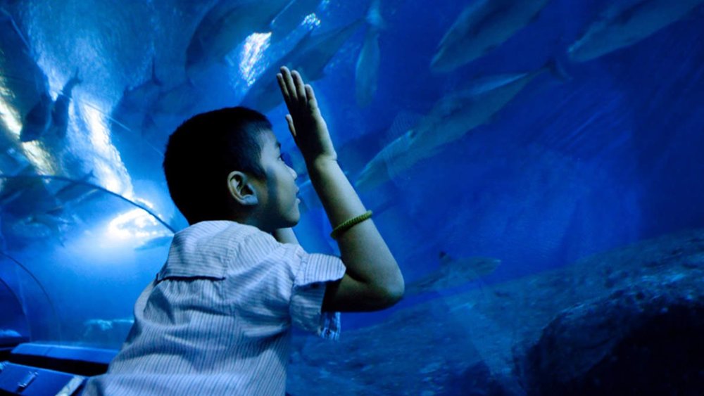 underwater world pattaya