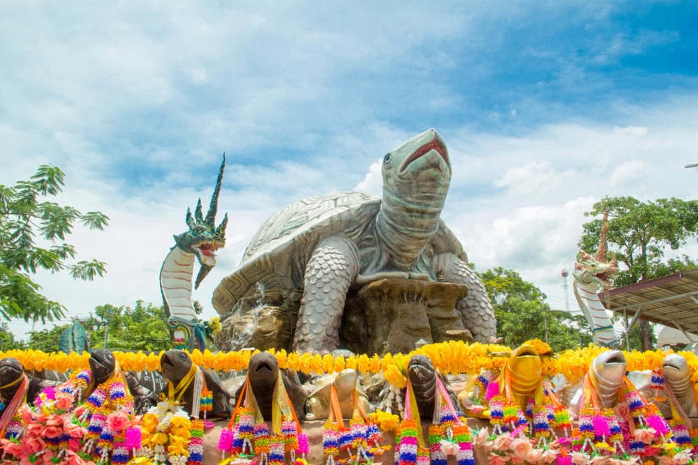 เครดิตภาพ : เว็บไซต์ roijang.com