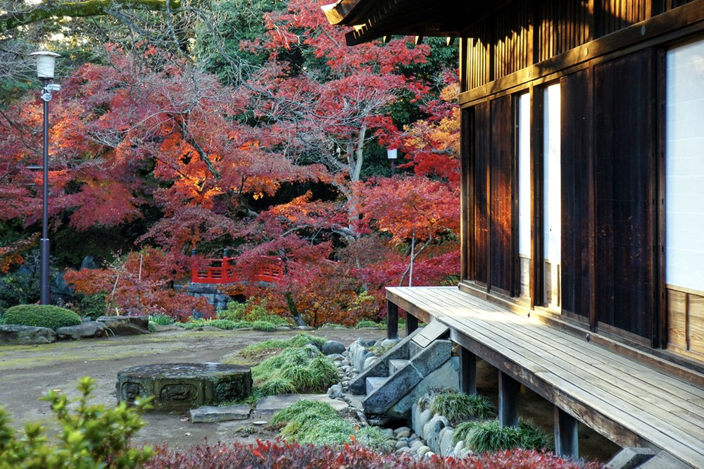 川越一日遊,川越景點,川越交通,喜多院