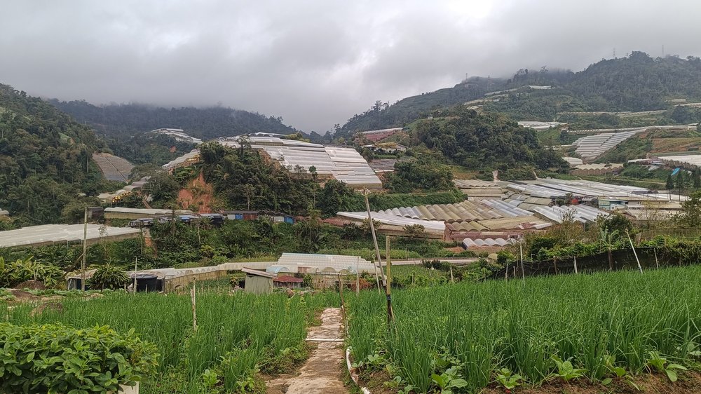 Jim's Vegetable Farm di Cameron Highlands