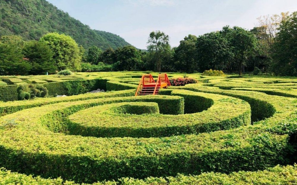 Pete Maze - Trải Nghiệm Mê Cung Vui Nhộn Cho Cả Gia Đình