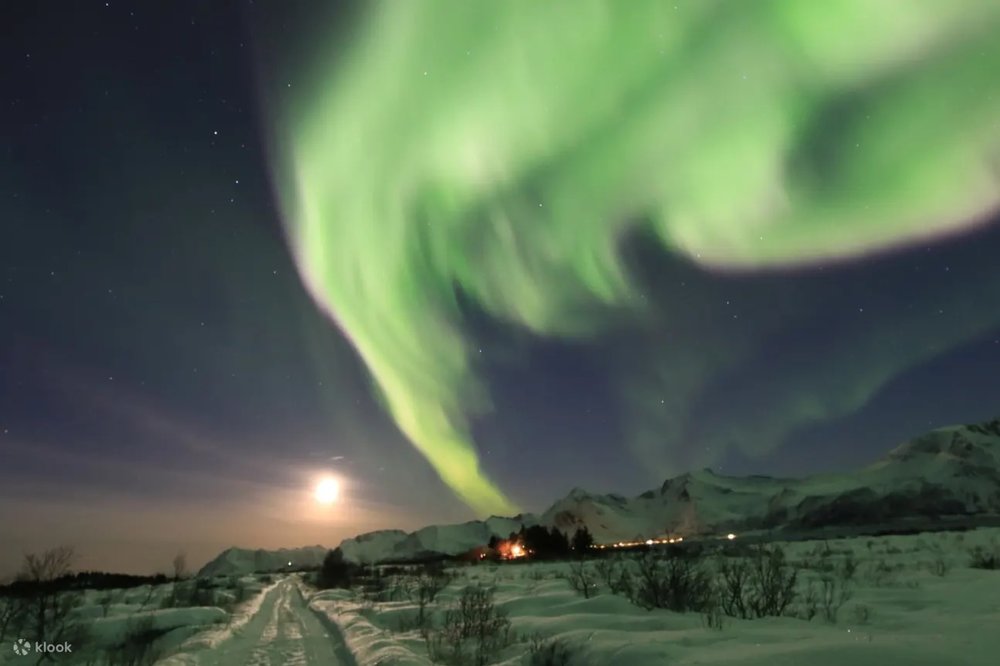 挪威羅弗敦群島