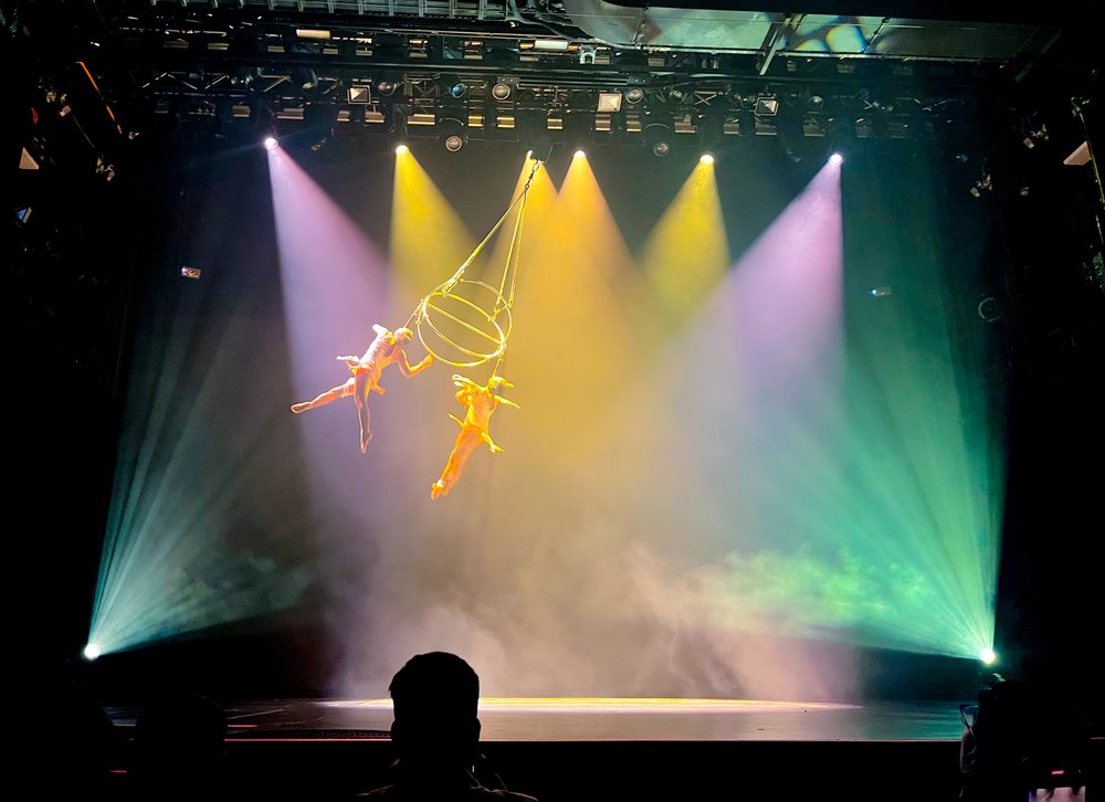 RWC Genting Dream Affinity Show