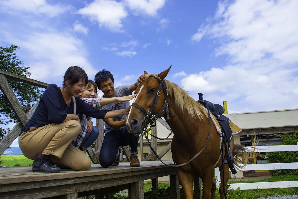 阿蘇住宿推薦|庭院牧場飯店