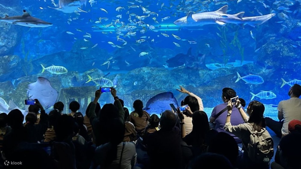 crowds in coex aquarium